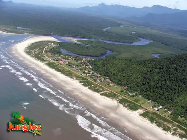 Junglez Eco Hostel Guarau Dış mekan fotoğraf