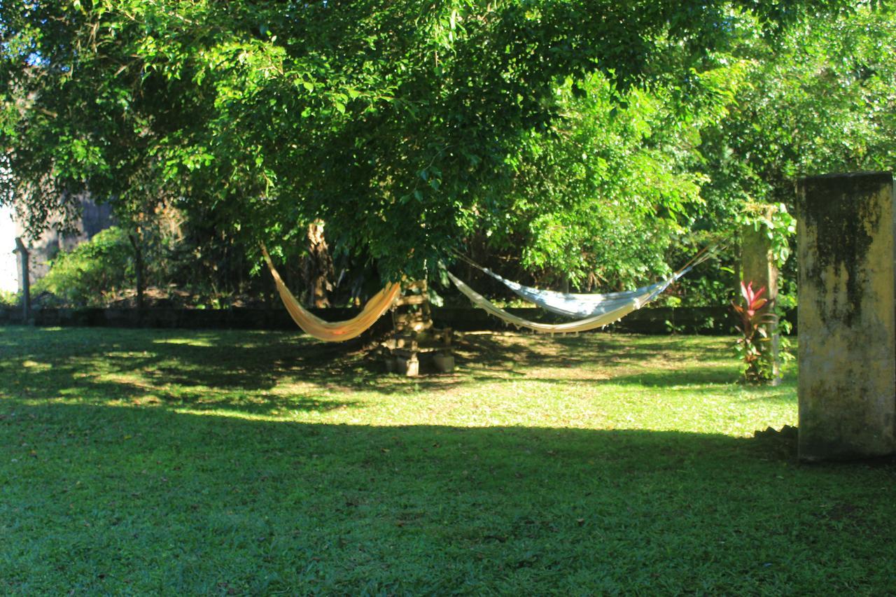 Junglez Eco Hostel Guarau Dış mekan fotoğraf