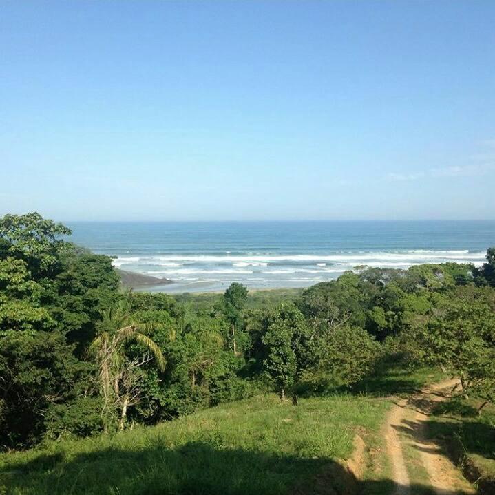 Junglez Eco Hostel Guarau Dış mekan fotoğraf