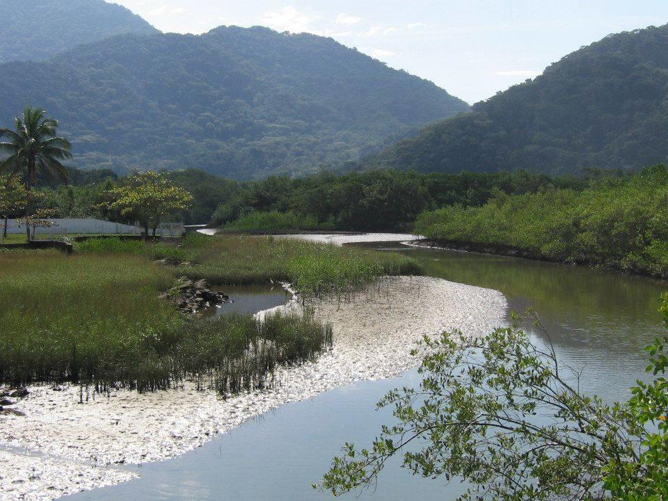Junglez Eco Hostel Guarau Dış mekan fotoğraf